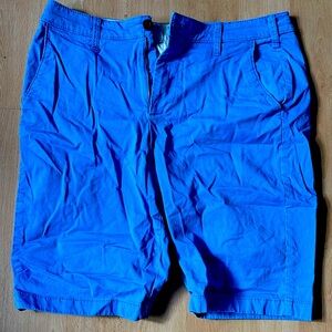Hollister Men's Vibrant Blue Flat Front Shorts